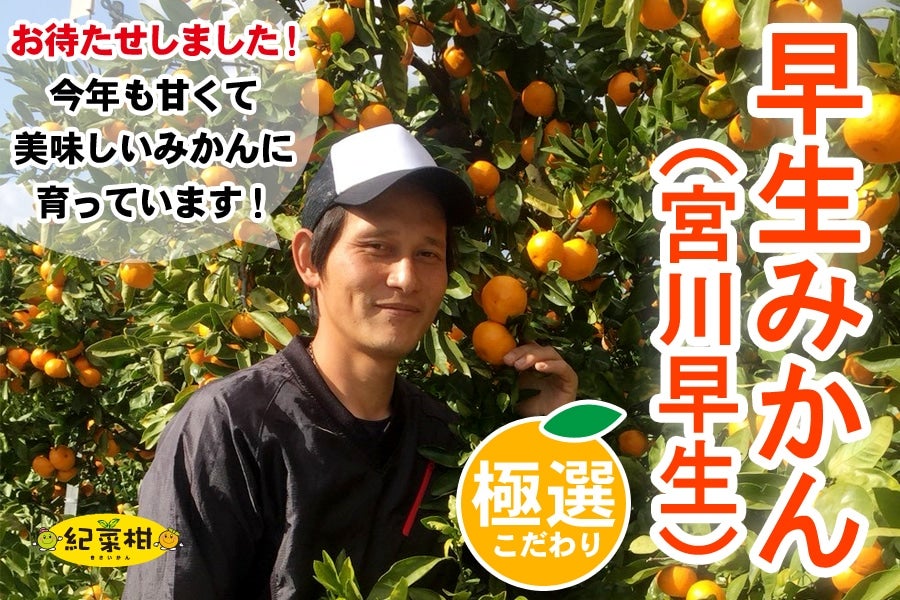 yI؊z_sÝu݂i{쑁jvMESTCY 3kg@n(I)