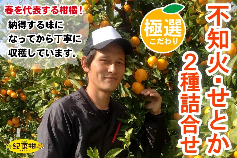 �y�I�؊��z���_�s�Y����́u�s�m�΁E���Ƃ��v�Q��l�����@��2.6kg�����n������(�I��)