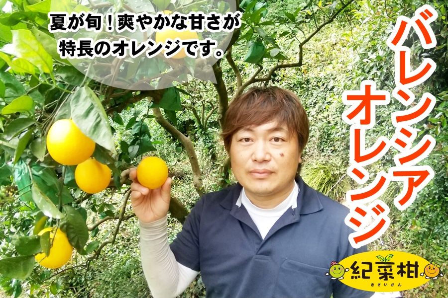 �y�I�؊��z���c�얤����́u�o�����V�A�I�����W�v��4kg(�I��)