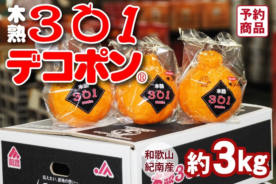 木熟301デコポン 約3kg（12～15玉入り）＜3月中旬より順次発送＞(紀南)