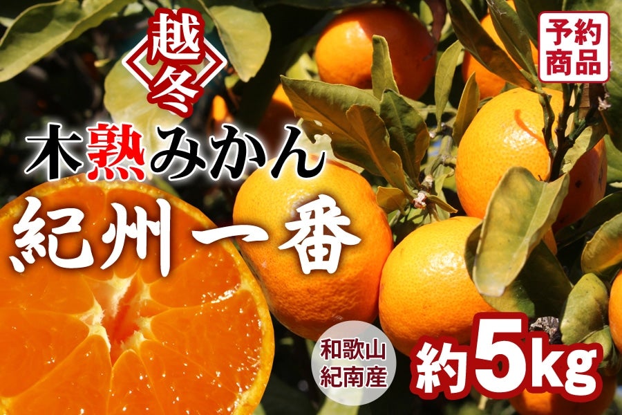 z~؏n݂uIBԁvi召TCYj 5kg(I)