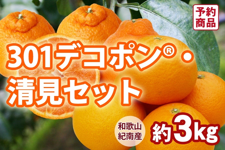 (�l����)301�f�R�|���E�����Z�b�g�@��3kg�@��3�����{��菇��������(�I��)