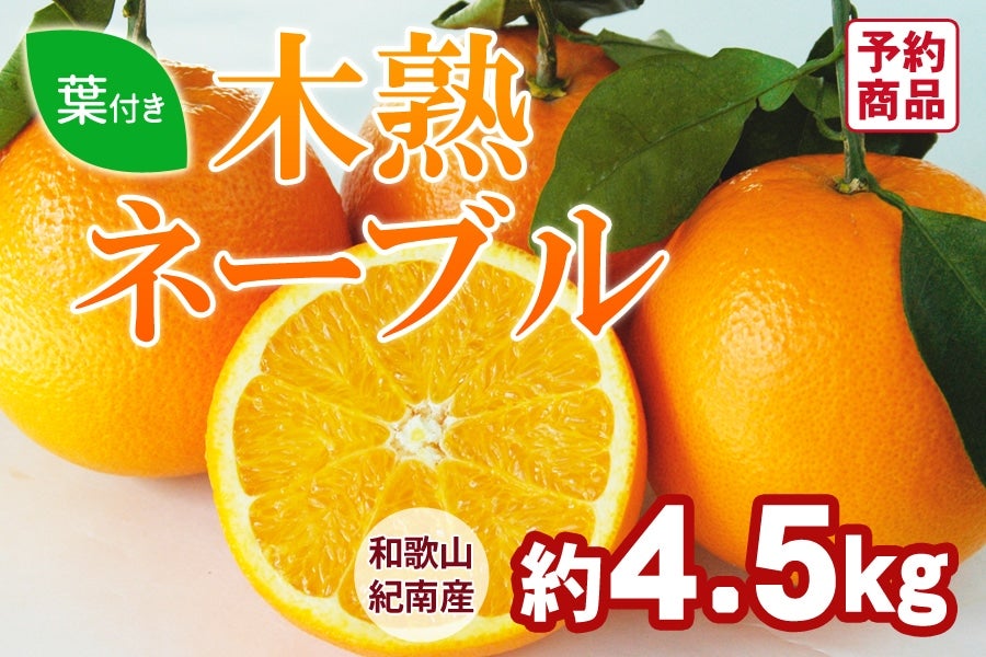 �؏n�l�[�u�� ��4.5kg�i15�`19�ʓ���j  ���R����{��菇��������(�I��)