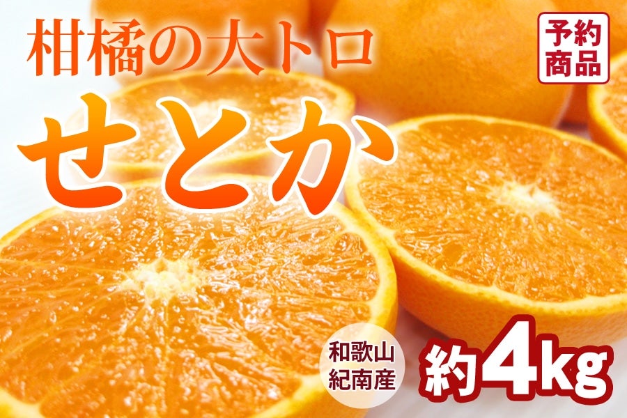 ���Ƃ��@��4kg�i18�`28�ʓ���j ���R�����{��菇��������(�I��)