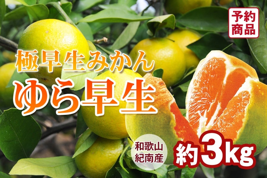 瑁 3s <10{`{>(I)
