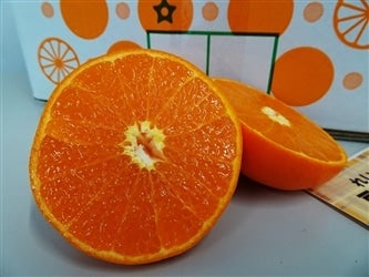 �y��˔_���z�a�̎R�����Â̂킯�����g ��5kg�y�T�C�Y��I�ʁz(�Ȃ��݂�)