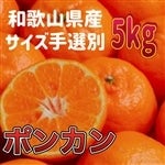 �u�^�_���v�a�̎R�����Ẫ|���J���@��5�s�y��I�ʁz(�Ȃ��݂�)