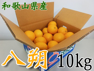 【馬場農園】和歌山県下津の八朔 約10kg【サイズ混合】(ながみね)