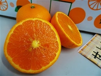 �y��˔_���z�a�̎R�����Â̂��Ƃ���5kg�y�T�C�Y��I�ʁz(�Ȃ��݂�)