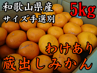 �y�u��_���z�a�̎R�����Â̖󂠂葠�o���݂��� ��5kg �y�T�C�Y��I�ʁz(�Ȃ��݂�)