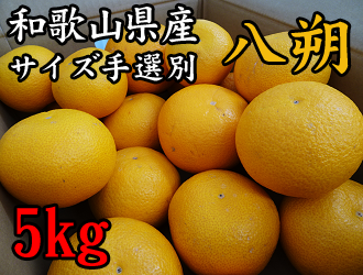 �y�u��_���z�a�̎R�����Â̔��� ��5kg �y�T�C�Y��I�ʁz(�Ȃ��݂�)