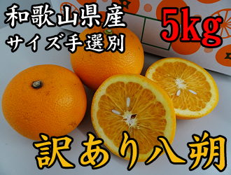 �y�u��_���z�a�̎R�����Â̖󂠂蔪�� ��5kg �y�T�C�Y��I�ʁz(�Ȃ��݂�)