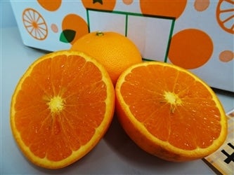 �y��˔_���z�a�̎R�����Â̂킯���肹�Ƃ���5kg�y�T�C�Y��I�ʁz(�Ȃ��݂�)