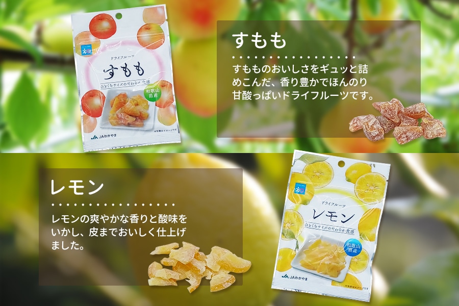 ドライフルーツ6種類×6袋セット(紀南)