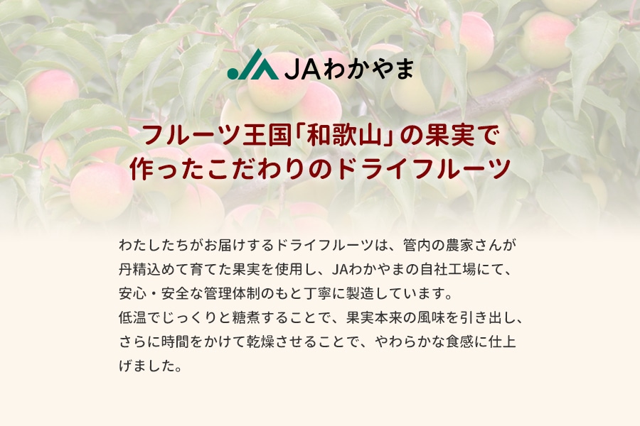 ドライフルーツ6種類×6袋セット(紀南)