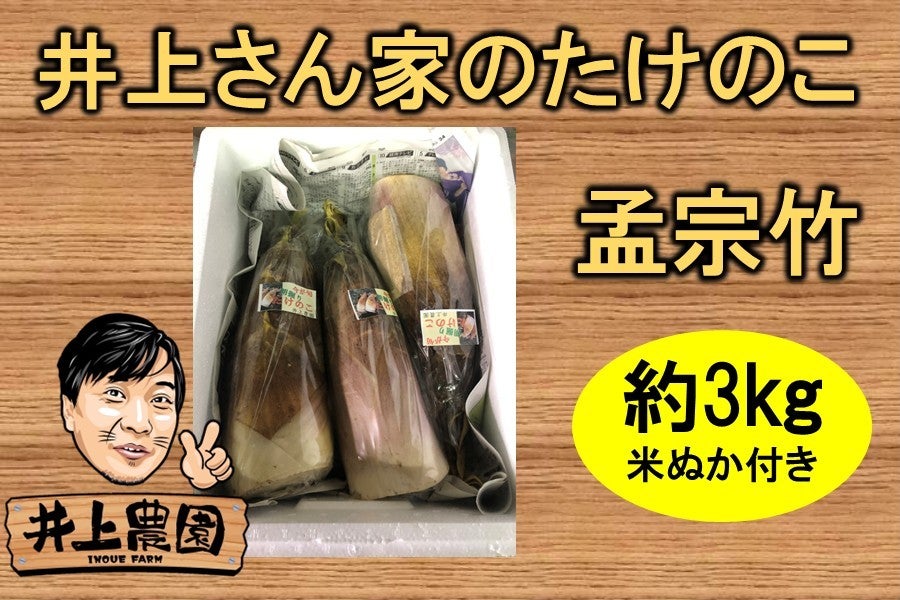 やっちょん広場 井上さん家のたけのこ 約3s入り(紀北)