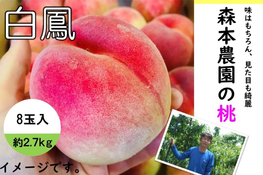 やっちょん広場 森本さん家の桃 白鳳8玉 約2.7kg（紀北）: ココ・カラ