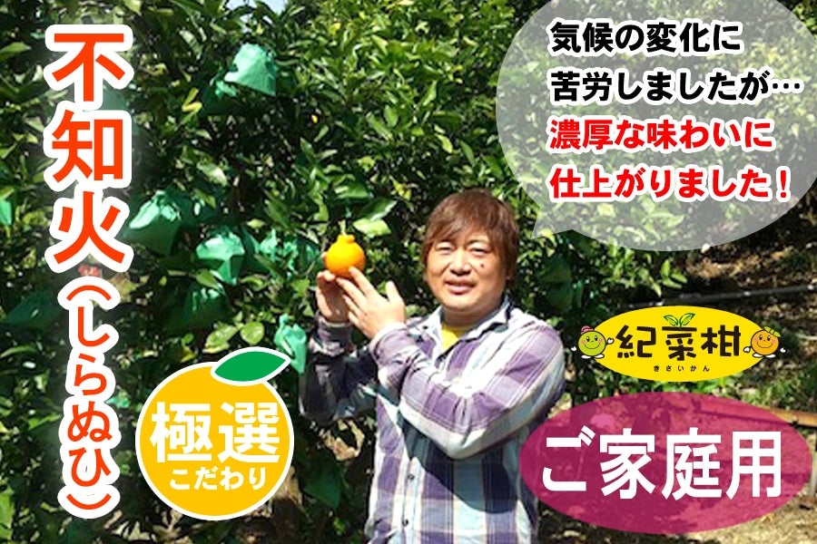 【紀菜柑】平田卓巳さんのご家庭用「不知火」約6kg(紀南)