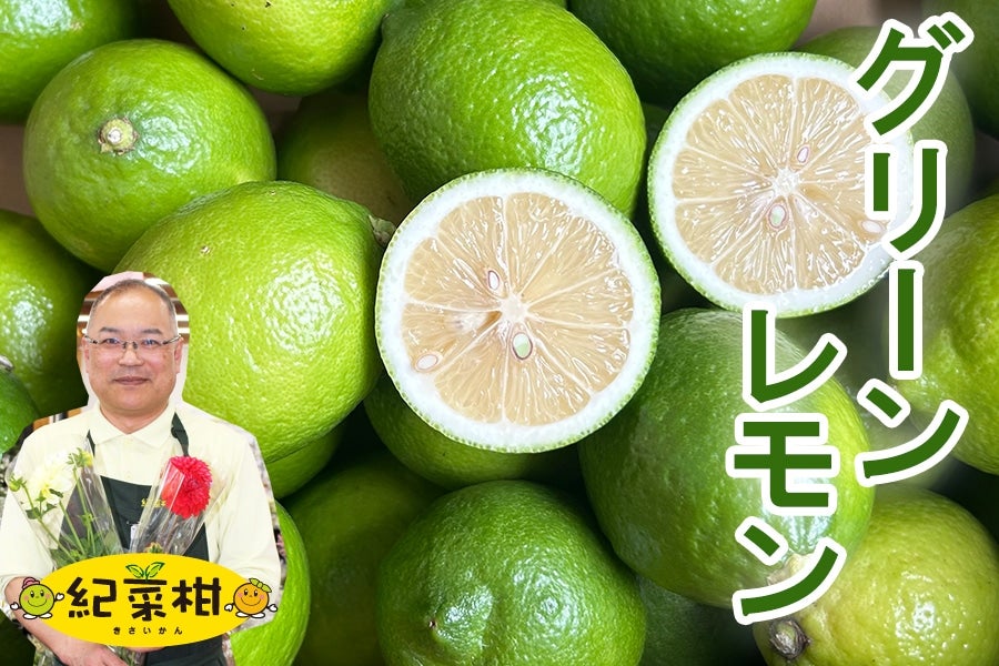 【紀菜柑】和歌山県産 グリーンレモン 約5kg(紀南)