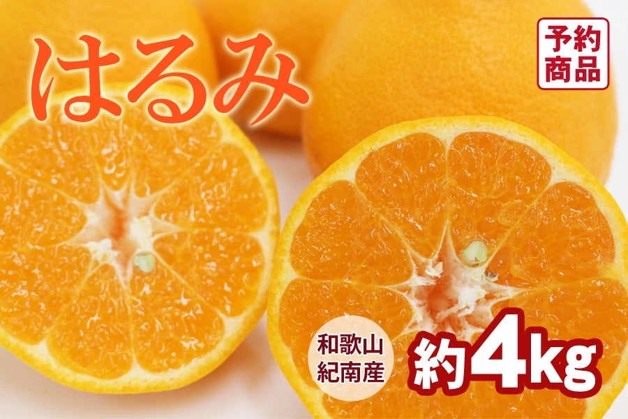 はるみ 約4kg(20〜24玉) (紀南)