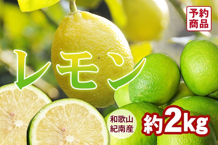 和歌山県産 レモン 約2kg <11月下旬〜発送>(紀南)