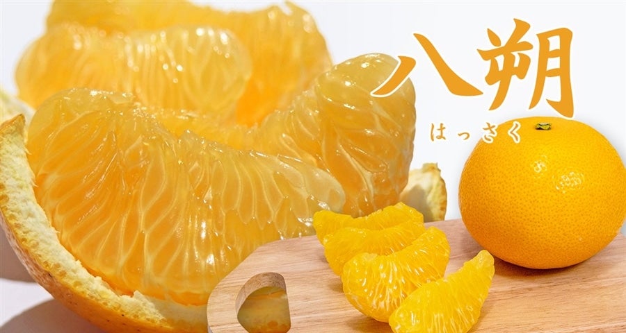 和歌山県産 八朔 10kg: ココ・カラ。和歌山マルシェ|【JAタウン