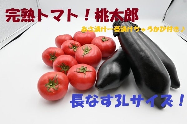 完熟トマト＆長なすセット 漬けちゃろか2P付き♪: ココ・カラ。和歌山