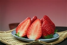 �y�����I�z���c���񂿂́g�܂�Ђ߁h�C�`�SDX�i8���܂���9���j300��×2�p�b�N�y�嗱�������z�y䕁z�i�I�̗��j