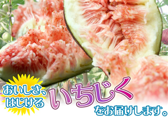 Î̗܁`uv 1.2kg