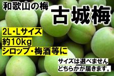 �a�̎R�̔~�@�Ï�~�i�~�j�@ �Q�k�EL�T�C�Y�@��P�Okg�i�I�k�j