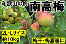 �a�̎R�̔~�@�썂�~�@L�`�Q�k�T�C�Y 10Kg�i�I�k�j