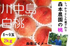 L@X{Ƃ̓@쒆8~9 2kgiIkj