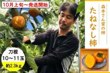 L@X{Ƃ̊`@˂Ȃ`ijPO`PP 2.3kg@POP`iIkj
