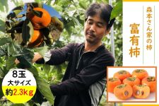 L@X{Ƃ̊`@xL`W iTCYj2.3kg