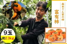 L@X{Ƃ̊`@xL`X 2.Rkg