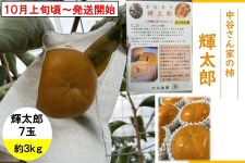 やっちょん広場 中谷さん家の柿 輝太郎 7玉 約2kg(紀北)