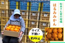 ��������L��@���{����Ƃ̊��k�@�͂�݁@�T�C�Y�s�����@��S�����@���t�l��