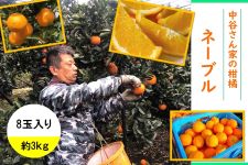 ��������L��@���J����Ƃ̊��k�@�l�[�u���@�W�ʓ���@��R�����i�I�k�j