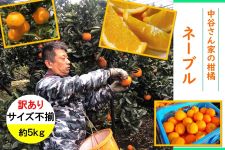 ��������L��@���J����Ƃ̊��k�@�y�󂠂�s�����z�l�[�u���@���t�l�߁@��T�����i�I�k�j