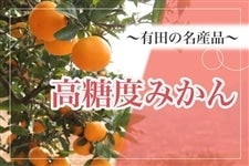 yAQIʏzx݂TkgiS~Lj@1115珇(肾)
