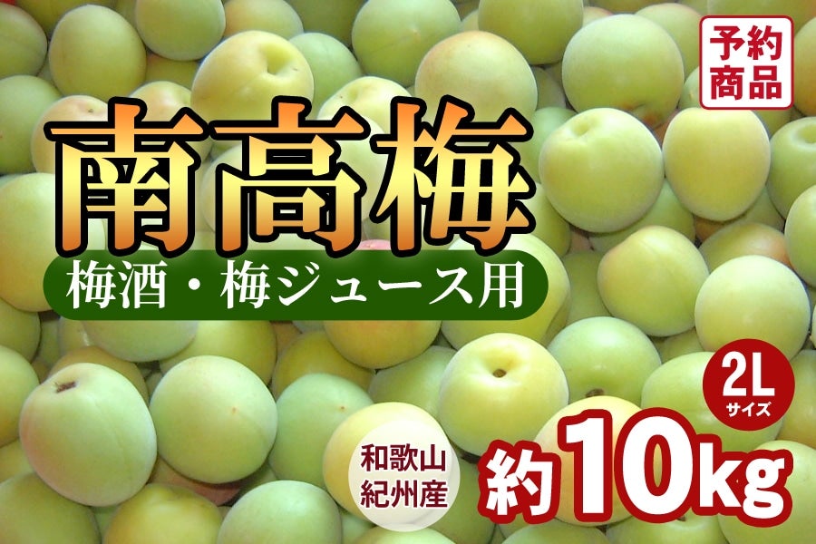 ̔聄IBY썂~y2LTCYz 10kg ~pE~W[Xp(I)