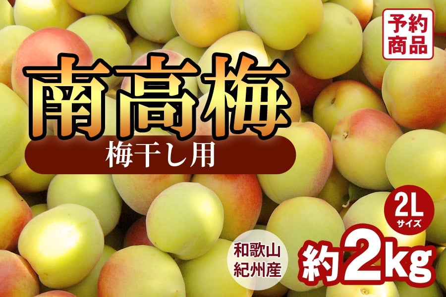 ̔聄IBY썂~y2LTCYz 2kg ~p(I)