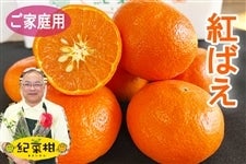 �y�I�؊��z���ƒ�p�@�g�΂��@��4.5kg(�I��)