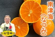 �y�I�؊��z�a�̎R���Y�@��ÊC(�Ȃ�)�@��3kg(�I��)