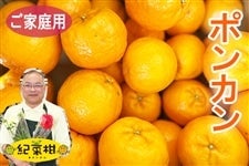 �y�I�؊��z���ƒ�p�@�|���J���@��4.5kg(�I��)