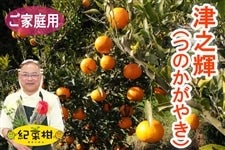 �y�I�؊��z���ƒ�p�@�ÔV�P�i�̂����₫�j�@��4.5����(�I��)