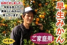 yI؊zƒp@_sÝu݂vMESTCY@4.5kg@n(I)