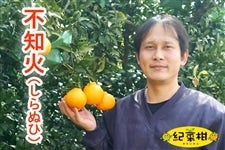 �y�I�؊��z���_�s�Y����́u�s�m�΁i����ʂЁj�v3L�T�C�Y8�ʁ@��2.5kg �����n������(�I��)