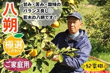 �y�I�؊��z���ƒ�p�@�×t��傳��́u����v L�`3L�T�C�Y��8kg(�I��)