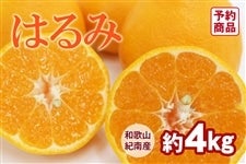 ͂݁@4kgi20`24ʁj (I)